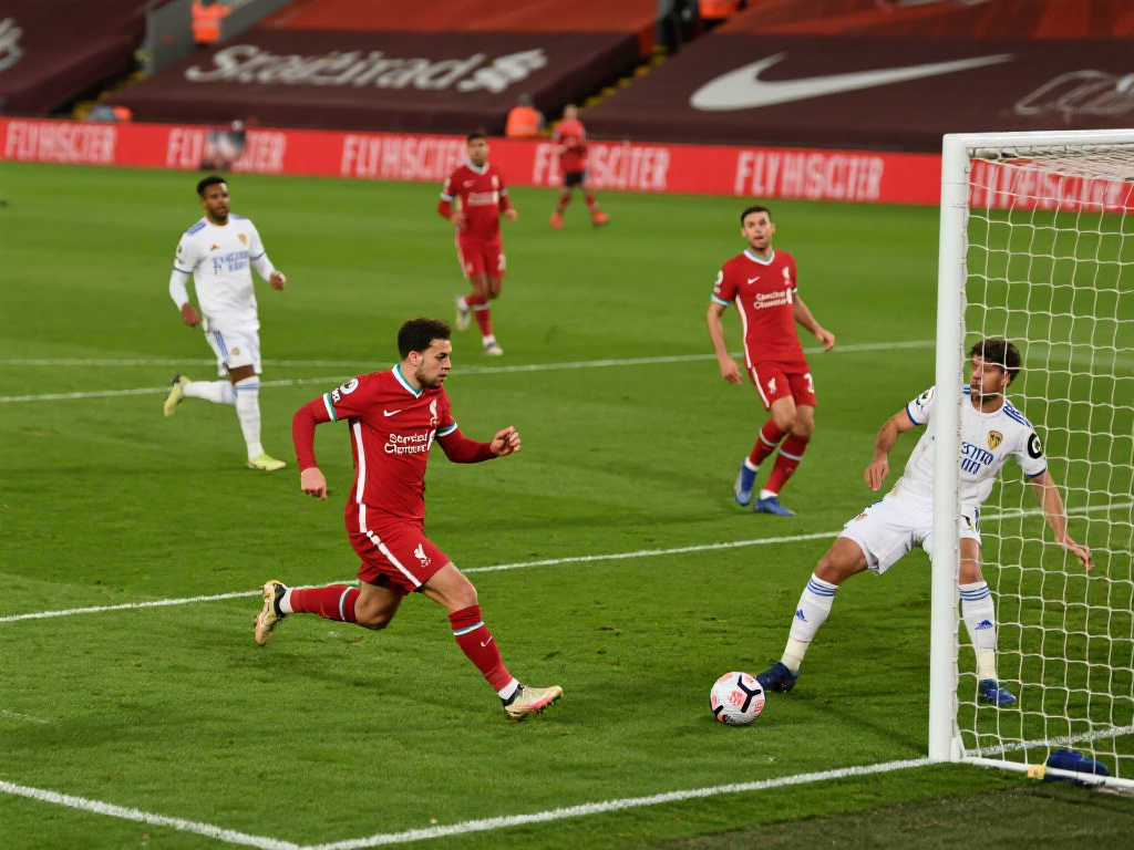 念也为众多 念也为众多